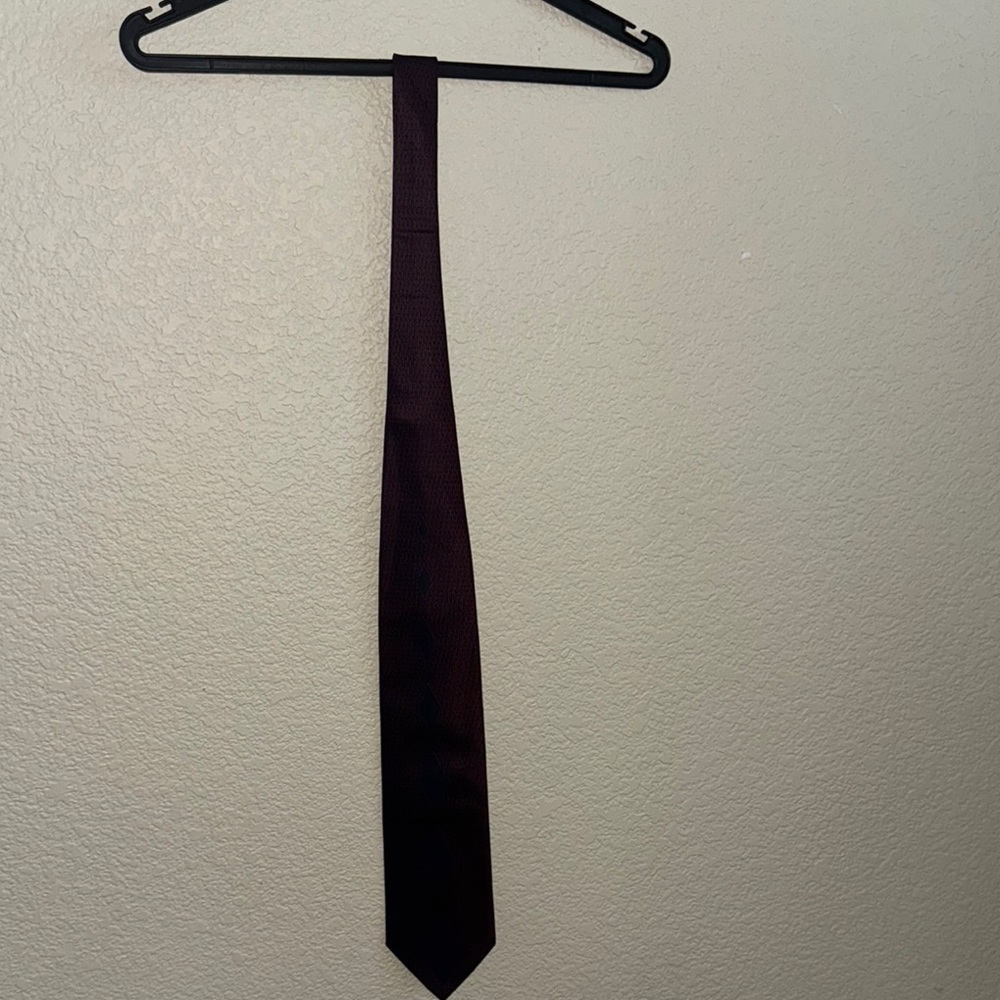 Elegant Burgundy Tie